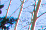 Clic en la imagen para ver su versión completa. 

Nombre: qu8QFdcjEArNfmOYFR2LD1Ofhp_krBXSYsy4fWdZV1A.png 
Visitas: 48 
Tamaño: 220.6 KB 
ID: 243074