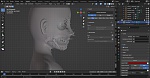Clic en la imagen para ver su versión completa. 

Nombre: Face Rig perfil2.jpg 
Visitas: 379 
Tamaño: 362.9 KB 
ID: 245139