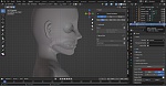 Clic en la imagen para ver su versión completa. 
Nombre: Face Rig perfil1.jpg 
Visitas: 47 
Tamaño: 364.0 KB 
ID: 245140