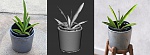 Clic en la imagen para ver su versión completa. 

Nombre: Aprende a convertir fotos en mallas 3D con Substance 3D Sampler.jpg 
Visitas: 187 
Tamaño: 97.9 KB 
ID: 245295
