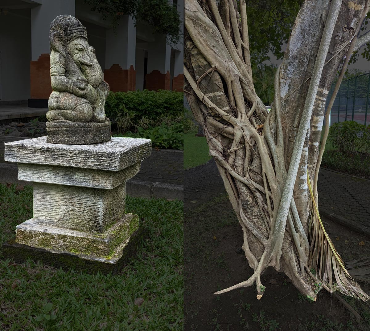 Nombre:  Aprende a convertir fotos en mallas 3D.jpg
Visitas: 311
Tamaño: 396.9 KB