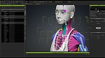 Clic en la imagen para ver su versión completa. 

Nombre: Cómo usar AccuRIG en Character Creator-4.jpg 
Visitas: 269 
Tamaño: 67.5 KB 
ID: 245540