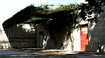 Clic en la imagen para ver su versión completa. 

Nombre: patio ivy_3.jpg 
Visitas: 100 
Tamaño: 1.29 MB 
ID: 246326