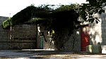 Clic en la imagen para ver su versión completa. 

Nombre: patio ivy.jpg 
Visitas: 93 
Tamaño: 1.24 MB 
ID: 246328
