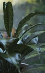 Clic en la imagen para ver su versión completa. 

Nombre: Render 2.jpg 
Visitas: 46 
Tamaño: 304.5 KB 
ID: 246387