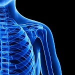 Clic en la imagen para ver su versión completa.&nbsp;

Nombre: 652_SFI_skeleton_xray_b0014.jpg&nbsp;
Visitas: 423&nbsp;
Tamaño: 290.4 KB&nbsp;
ID: 246944