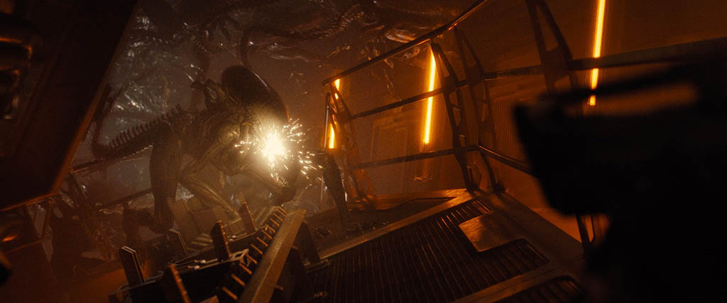 Nombre:  La franquicia Alien siempre se ha caracterizado por superar límites-2.jpg
Visitas: 98
Tamaño: 66.9 KB