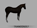 Clic en la imagen para ver su versión completa. 

Nombre: caballo_image1.jpg 
Visitas: 3752 
Tamaño: 129.3 KB 
ID: 52513