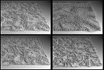 Clic en la imagen para ver su versión completa. 

Nombre: carpet2ey8.jpg 
Visitas: 7583 
Tamaño: 99.2 KB 
ID: 83226