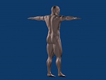 Clic en la imagen para ver su versión completa. 

Nombre: torso.jpg 
Visitas: 600 
Tamaño: 73.6 KB 
ID: 84193