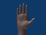 Clic en la imagen para ver su versión completa. 

Nombre: mano2.jpg 
Visitas: 777 
Tamaño: 28.3 KB 
ID: 84195