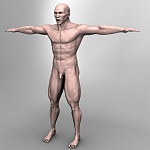 Clic en la imagen para ver su versión completa. 

Nombre: render vein.jpg 
Visitas: 401 
Tamaño: 38.8 KB 
ID: 84278