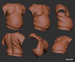 Clic en la imagen para ver su versión completa. 

Nombre: torso_01_021109.jpg 
Visitas: 153 
Tamaño: 171.8 KB 
ID: 94532