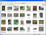 Clic en la imagen para ver su versión completa. 

Nombre: bananaspider_referencias.jpg 
Visitas: 1396 
Tamaño: 157.0 KB 
ID: 97468
