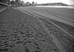 Clic en la imagen para ver su versión completa. 

Nombre: DSC_0012.jpg 
Visitas: 111 
Tamaño: 276.3 KB 
ID: 99124