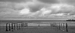 Clic en la imagen para ver su versión completa. 

Nombre: DSC_0131.jpg 
Visitas: 119 
Tamaño: 85.2 KB 
ID: 99129