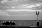 Clic en la imagen para ver su versión completa. 

Nombre: MONJAS1.jpg 
Visitas: 114 
Tamaño: 113.2 KB 
ID: 99133