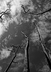 Clic en la imagen para ver su versión completa. 

Nombre: 1.jpg 
Visitas: 114 
Tamaño: 183.8 KB 
ID: 99146
